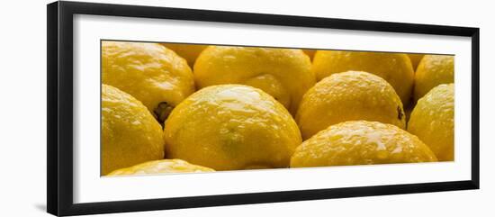 Lemons Lemons Lemons Number 3-Steve Gadomski-Framed Photographic Print