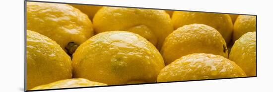 Lemons Lemons Lemons Number 3-Steve Gadomski-Mounted Photographic Print