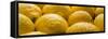 Lemons Lemons Lemons Number 3-Steve Gadomski-Framed Stretched Canvas