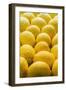 Lemons Lemons Lemons-Steve Gadomski-Framed Photographic Print