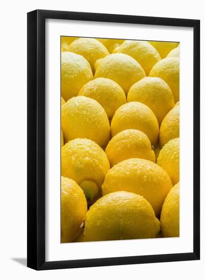 Lemons Lemons Lemons-Steve Gadomski-Framed Photographic Print