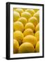 Lemons Lemons Lemons-Steve Gadomski-Framed Photographic Print