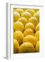 Lemons Lemons Lemons-Steve Gadomski-Framed Photographic Print