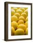 Lemons Lemons Lemons-Steve Gadomski-Framed Photographic Print