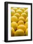 Lemons Lemons Lemons-Steve Gadomski-Framed Photographic Print