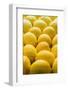 Lemons Lemons Lemons-Steve Gadomski-Framed Photographic Print