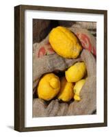 Lemons. Lisbon Food Market, Portugal-Mauricio Abreu-Framed Photographic Print