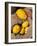 Lemons. Lisbon Food Market, Portugal-Mauricio Abreu-Framed Photographic Print