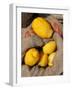 Lemons. Lisbon Food Market, Portugal-Mauricio Abreu-Framed Photographic Print