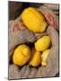 Lemons. Lisbon Food Market, Portugal-Mauricio Abreu-Mounted Photographic Print