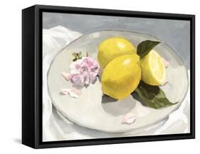 Lemons on a Plate lI-Victoria Barnes-Framed Stretched Canvas