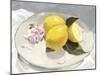 Lemons on a Plate lI-Victoria Barnes-Mounted Art Print