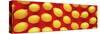 Lemons on a Red Background-null-Stretched Canvas