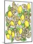 Lemons Original-Cyndi Lou-Mounted Giclee Print