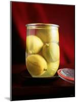 Lemons Pickled in Brine-Michael Boyny-Mounted Photographic Print