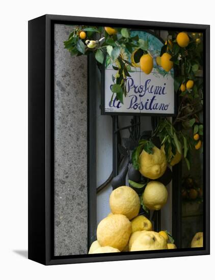 Lemons, Positano, Amalfi Coast, Campania, Italy-Walter Bibikow-Framed Stretched Canvas