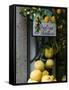 Lemons, Positano, Amalfi Coast, Campania, Italy-Walter Bibikow-Framed Stretched Canvas