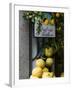 Lemons, Positano, Amalfi Coast, Campania, Italy-Walter Bibikow-Framed Premium Photographic Print