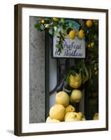 Lemons, Positano, Amalfi Coast, Campania, Italy-Walter Bibikow-Framed Premium Photographic Print