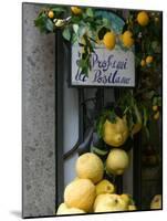 Lemons, Positano, Amalfi Coast, Campania, Italy-Walter Bibikow-Mounted Photographic Print