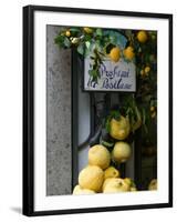 Lemons, Positano, Amalfi Coast, Campania, Italy-Walter Bibikow-Framed Photographic Print