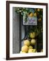 Lemons, Positano, Amalfi Coast, Campania, Italy-Walter Bibikow-Framed Photographic Print