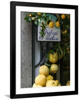 Lemons, Positano, Amalfi Coast, Campania, Italy-Walter Bibikow-Framed Photographic Print