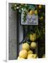 Lemons, Positano, Amalfi Coast, Campania, Italy-Walter Bibikow-Framed Photographic Print