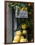 Lemons, Positano, Amalfi Coast, Campania, Italy-Walter Bibikow-Framed Photographic Print