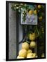 Lemons, Positano, Amalfi Coast, Campania, Italy-Walter Bibikow-Framed Photographic Print