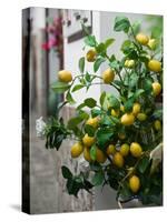 Lemons, Positano, Amalfi Coast, Campania, Italy-Walter Bibikow-Stretched Canvas