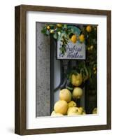 Lemons, Positano, Amalfi Coast, Campania, Italy-Walter Bibikow-Framed Photographic Print