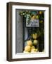 Lemons, Positano, Amalfi Coast, Campania, Italy-Walter Bibikow-Framed Photographic Print