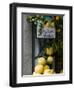 Lemons, Positano, Amalfi Coast, Campania, Italy-Walter Bibikow-Framed Photographic Print