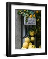 Lemons, Positano, Amalfi Coast, Campania, Italy-Walter Bibikow-Framed Premium Photographic Print