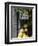 Lemons, Positano, Amalfi Coast, Campania, Italy-Walter Bibikow-Framed Premium Photographic Print