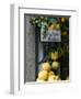 Lemons, Positano, Amalfi Coast, Campania, Italy-Walter Bibikow-Framed Premium Photographic Print