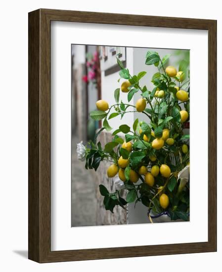 Lemons, Positano, Amalfi Coast, Campania, Italy-Walter Bibikow-Framed Photographic Print