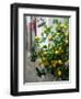 Lemons, Positano, Amalfi Coast, Campania, Italy-Walter Bibikow-Framed Photographic Print