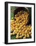 Lemons Spilling from a Basket, Lemon Festival, Menton, Provence, France-Ruth Tomlinson-Framed Photographic Print