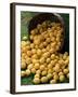 Lemons Spilling from a Basket, Lemon Festival, Menton, Provence, France-Ruth Tomlinson-Framed Photographic Print