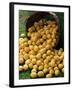 Lemons Spilling from a Basket, Lemon Festival, Menton, Provence, France-Ruth Tomlinson-Framed Photographic Print