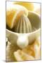 Lemons with Lemon Squeezer-Foodcollection-Mounted Photographic Print
