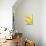 Lemons-Alena Hrbkova-Stretched Canvas displayed on a wall