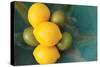 Lemons-Karyn Millet-Stretched Canvas