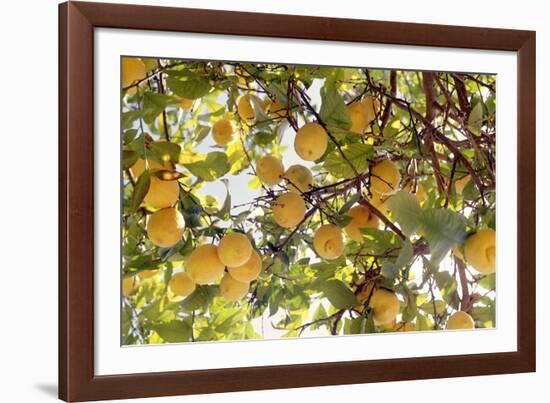 Lemons-Victor De Schwanberg-Framed Photographic Print