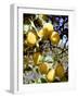 Lemons-Victor De Schwanberg-Framed Photographic Print