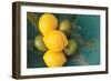 Lemons-Karyn Millet-Framed Photographic Print