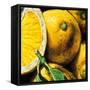 Lemons-null-Framed Stretched Canvas