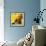 Lemons-null-Framed Art Print displayed on a wall